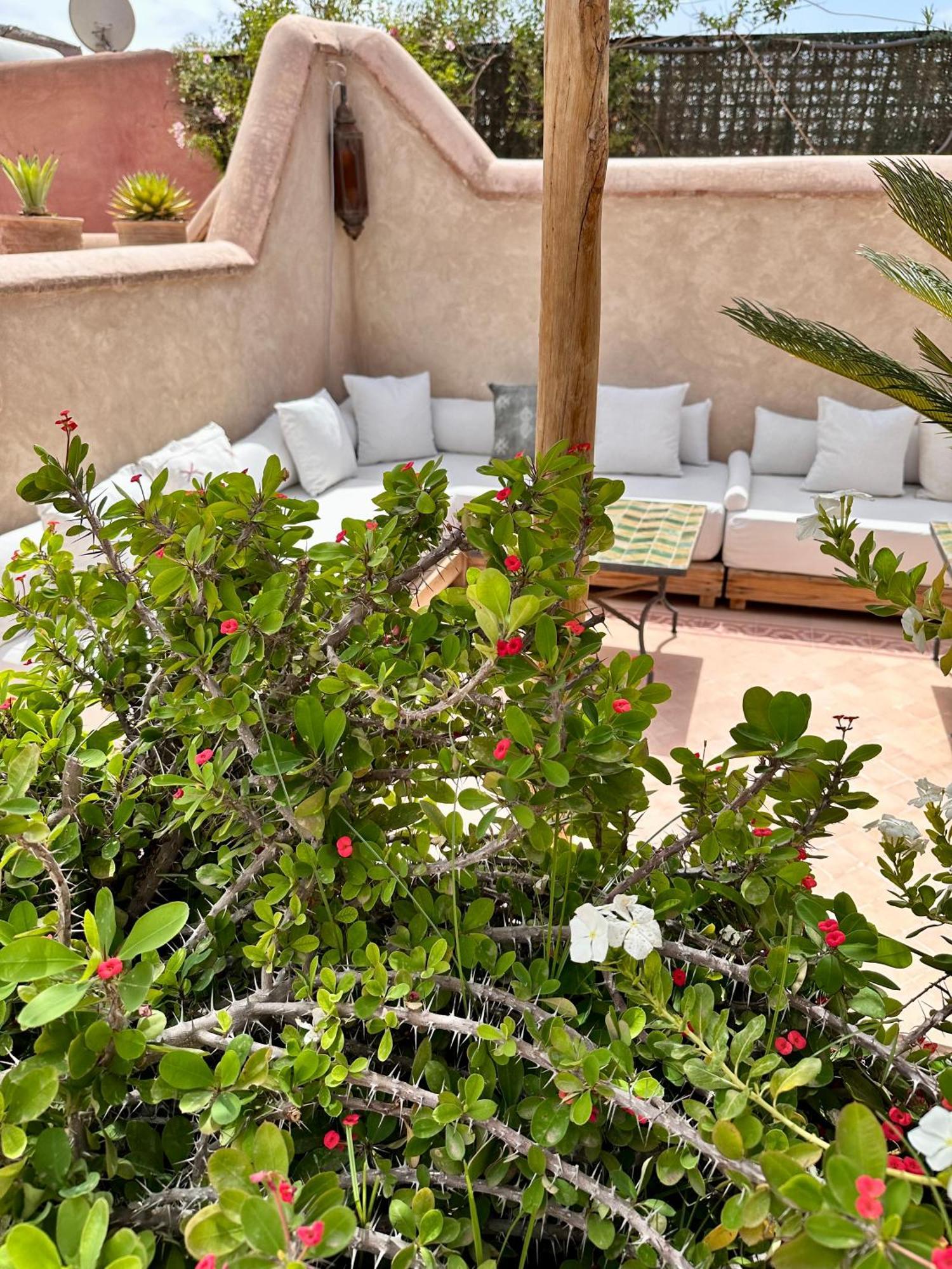 Riad Hadika Maria Marraquexe Exterior foto